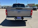 2023 F-150 Thumbnail 6