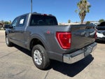 2023 F-150 Thumbnail 7