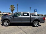 2023 F-150 Thumbnail 8