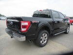 2023 F-150 Thumbnail 5