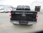 2023 F-150 Thumbnail 6
