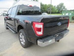 2023 F-150 Thumbnail 7