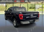2023 F-150 Thumbnail 3