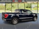 2023 F-150 Thumbnail 5