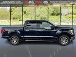 2023 F-150 Thumbnail 6