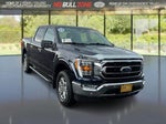 2023 F-150 Thumbnail 7