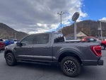 2023 F-150 Thumbnail 6