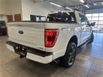 2023 F-150 Thumbnail 14
