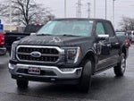 2021 F-150 Thumbnail 4
