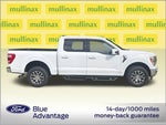 2021 F-150 Thumbnail 2