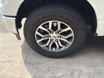 2021 F-150 Thumbnail 12