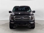 2021 F-150 Thumbnail 8