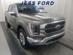 2021 F-150 Thumbnail 4