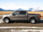 2021 F-150 Thumbnail 3