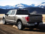 2021 F-150 Thumbnail 4
