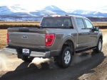 2021 F-150 Thumbnail 6