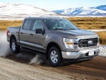 2021 F-150 Thumbnail 8