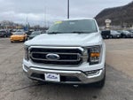 2021 F-150 Thumbnail 2