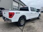2021 F-150 Thumbnail 4