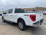 2021 F-150 Thumbnail 6