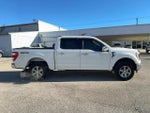 2021 F-150 Thumbnail 4