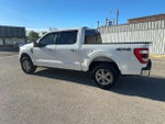 2021 F-150 Thumbnail 8