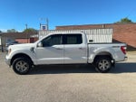 2021 F-150 Thumbnail 10