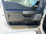 2021 F-150 Thumbnail 12