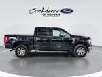 2021 F-150 Thumbnail 10