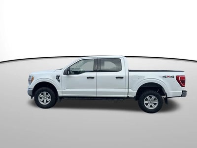 2021 Ford F-150 4X4 XL 4DR Supercrew 5.5 FT. SB