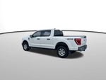2021 F-150 Thumbnail 2