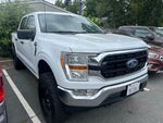 2021 F-150 Thumbnail 4