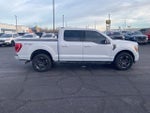 2021 F-150 Thumbnail 7