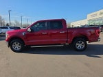 2021 F-150 Thumbnail 2