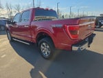 2021 F-150 Thumbnail 3