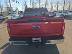 2021 F-150 Thumbnail 4