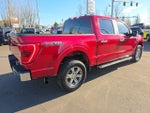 2021 F-150 Thumbnail 5