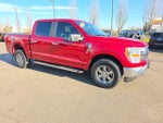 2021 F-150 Thumbnail 6