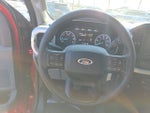 2021 F-150 Thumbnail 14