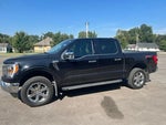 2021 F-150 Thumbnail 5