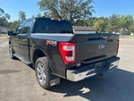 2021 F-150 Thumbnail 8