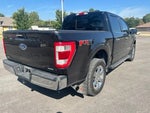 2021 F-150 Thumbnail 9