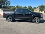 2021 F-150 Thumbnail 12