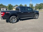 2021 F-150 Thumbnail 13