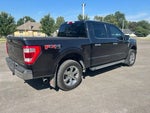 2021 F-150 Thumbnail 14