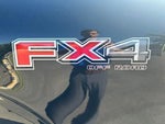 2021 F-150 Thumbnail 18