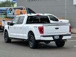 2021 F-150 Thumbnail 3