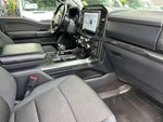 2021 F-150 Thumbnail 14