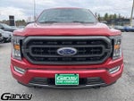 2021 F-150 Thumbnail 2