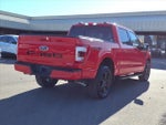 2021 F-150 Thumbnail 5